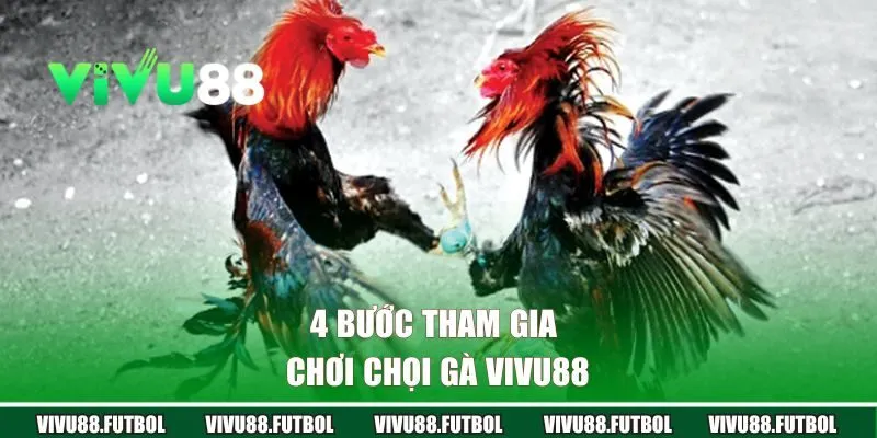 4 bước tham gia chơi chọi gà Vivu88 