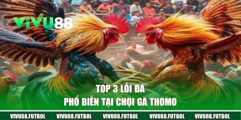 Top 3 lối đá phổ biến tại chọi gà Thomo